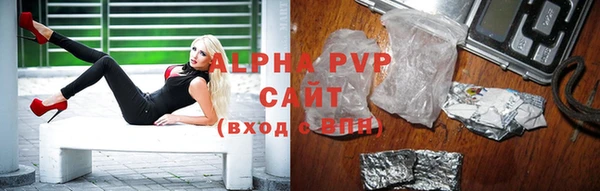 ECSTASY Новозыбков