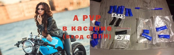 ECSTASY Новозыбков