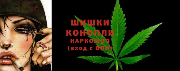 шишки Новокубанск
