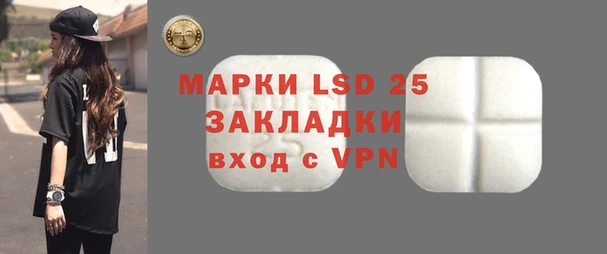 шишки Новокубанск