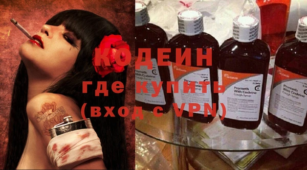 шишки Новокубанск