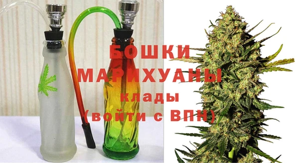 шишки Новокубанск