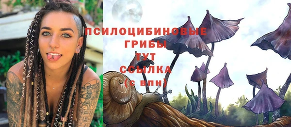 mdpv Новодвинск