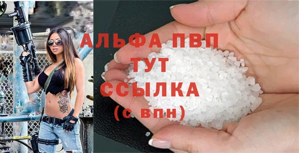 шишки Новокубанск