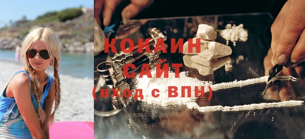 шишки Новокубанск