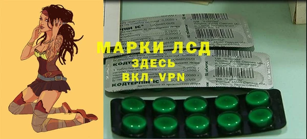 mdpv Новодвинск