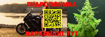 ALPHA PVP Аргун