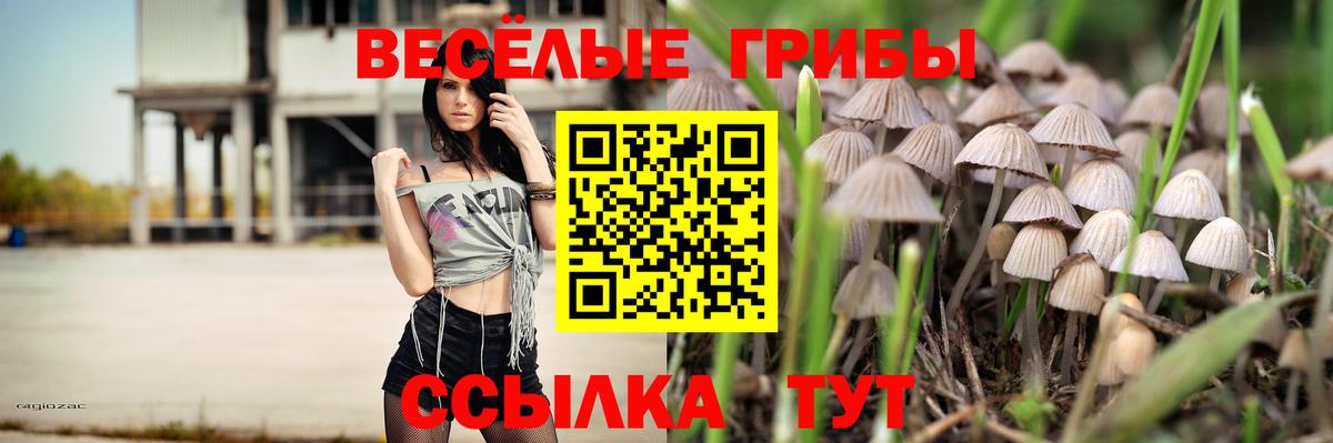 цена   Галлюциногенные грибы GOLDEN TEACHER  Галлюциногенные грибы Psilocybine cubensis  Вход с VPN  Сибай 